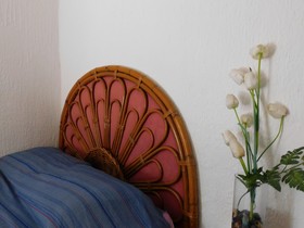 Hotel Temazcal Spa Coquis By Rotamundos