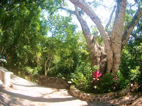 Hotel Posada Comala