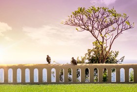 Villas Luz de Luna & Resort