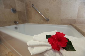 Azul Ixtapa Beach Resort & Convention Center