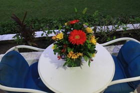 Coral Ixtapa
