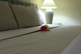 Coral Ixtapa