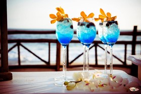 Hotel Fiesta Mexicana Manzanillo