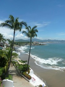 Dolphin Cove Inn