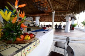 Dolphin Cove Inn