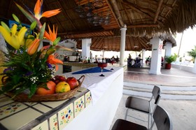 Dolphin Cove Inn