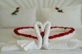 Dolphin Cove Inn