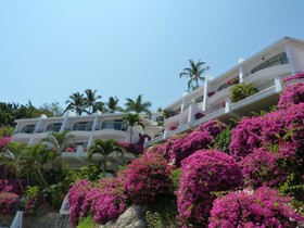 Dolphin Cove Inn