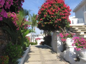 Dolphin Cove Inn