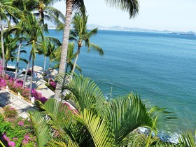 Dolphin Cove Inn