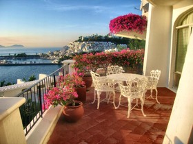 Dolphin Cove Inn