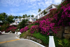 Dolphin Cove Inn