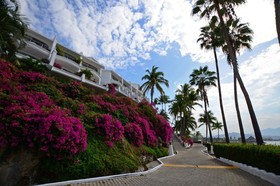 Dolphin Cove Inn