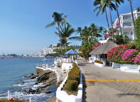 Dolphin Cove Inn