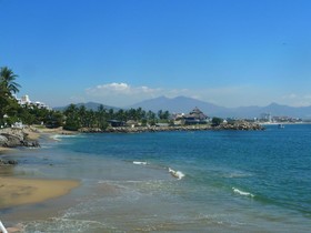 Dolphin Cove Inn