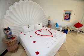 Dolphin Cove Inn