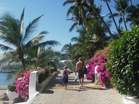 Dolphin Cove Inn