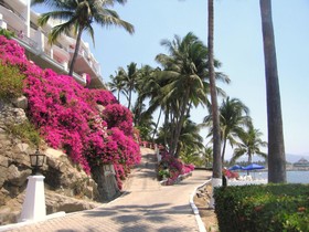 Dolphin Cove Inn