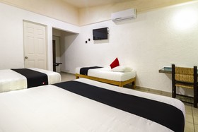 Hotel Parotas by OYO Rooms