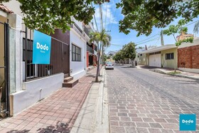 Dodo Plaza Machado