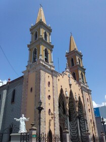 Dodo Plaza Machado