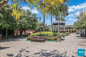Dodo Plaza Machado