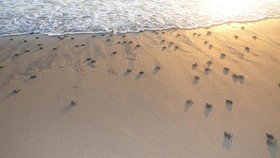 Las Villas Hotel & Golf by Estrella del Mar