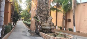 Hotel Oasis