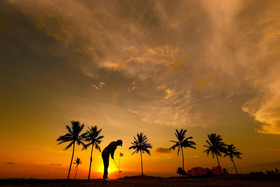 Estrella del Mar Luxury Suites