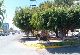 Mazatlan