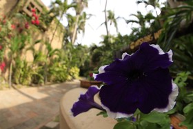 Villas el Rancho