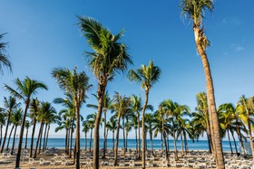 Hotel Riu Vallarta