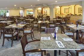 Samba Vallarta