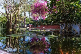 Casa Alegre