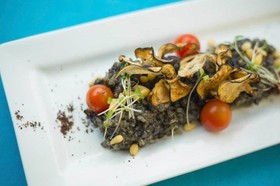 Casa Cupula Luxury LGBT Boutique Hotel
