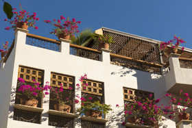 Casa de Chayo Hotel Boutique