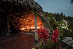 Casa Iguana