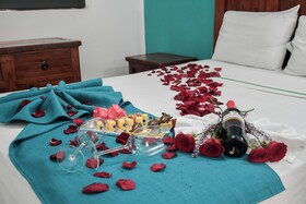 Casa Iguana