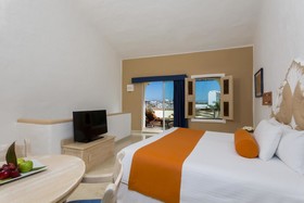 Flamingo Vallarta Hotel & Marina