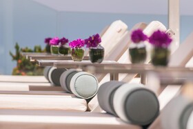 Grand Miramar All Luxury Suites & Residences