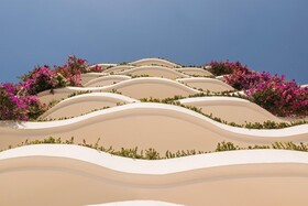 Grand Miramar All Luxury Suites & Residences