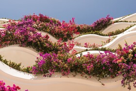 Grand Miramar All Luxury Suites & Residences