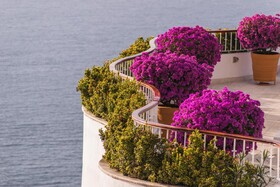 Grand Miramar All Luxury Suites & Residences