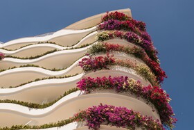 Grand Miramar All Luxury Suites & Residences