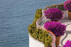 Grand Miramar All Luxury Suites & Residences