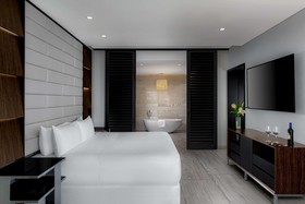 Hilton Vallarta Riviera All-Inclusive Resort