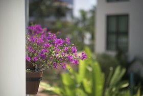 San Trópico Petit Hotel & Peaceful Escape