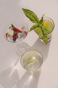 Maxwell Residences At Orchid