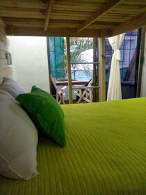 My Local Home Vallarta