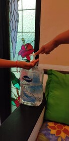 My Local Home Vallarta